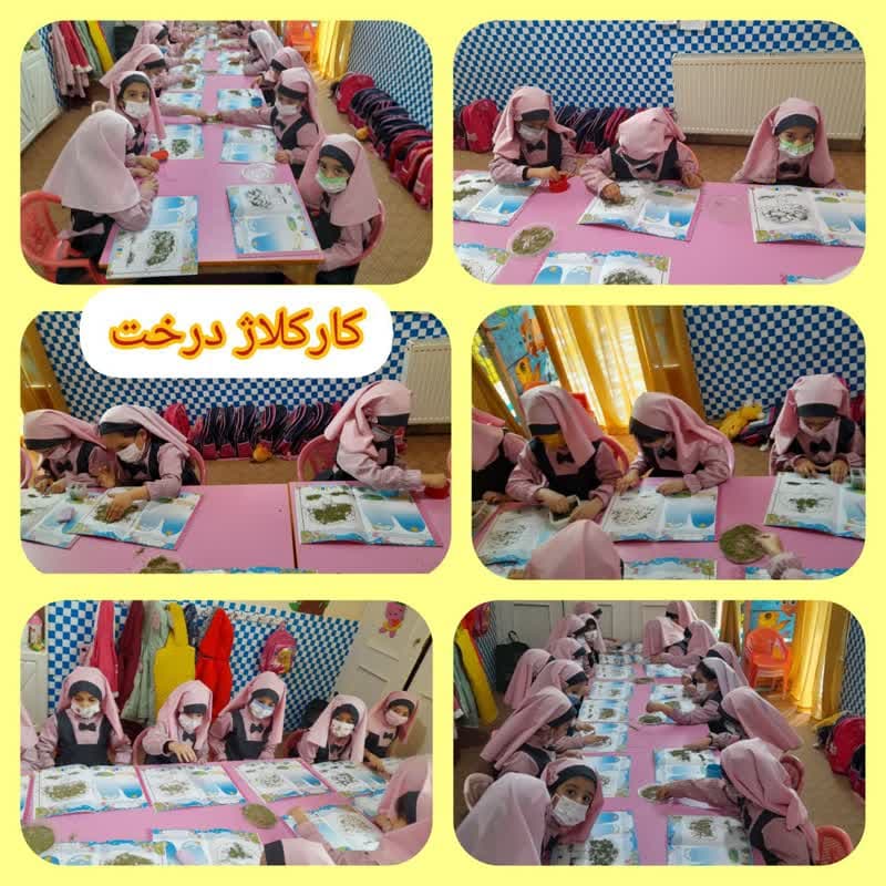 پیش دبستانی تخصصی باغ نور